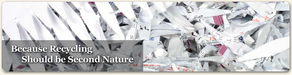Document Destruction Document Destruction